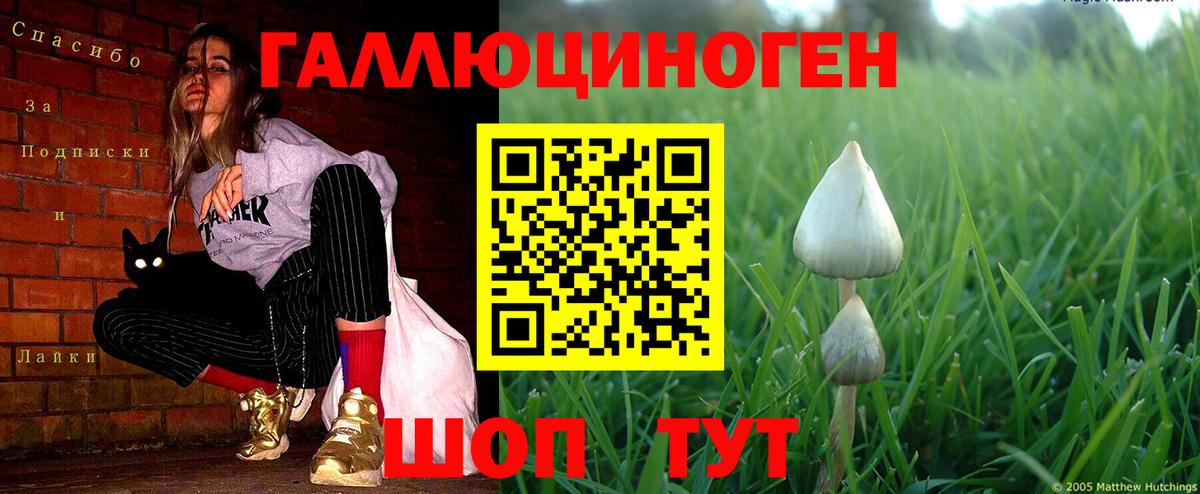 Псилоцибиновые грибы мицелий  Псилоцибиновые грибы мицелий  Вход с VPN  Унеча 